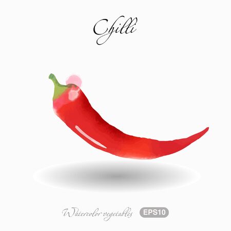 vector illustration of chilli peppersのイラスト素材