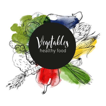 Vector watercolor vegetables background. Hand drawn sketchのイラスト素材