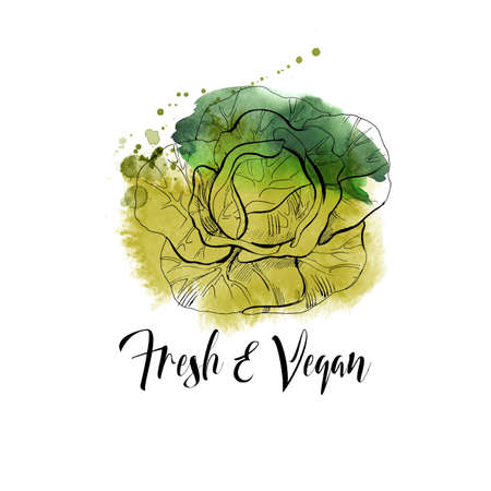 Vector watercolor vegetables background. Hand drawn sketch
