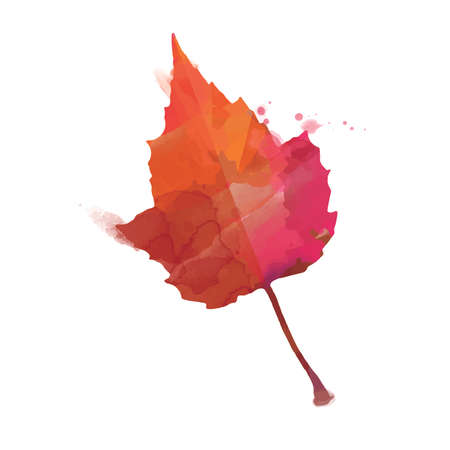 Autumn vector backgroundのイラスト素材