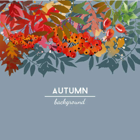 Autumn vector backgroundのイラスト素材