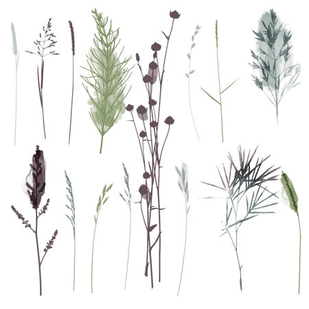 Vector plants and herb set illustration. Watercolor illustration.のイラスト素材