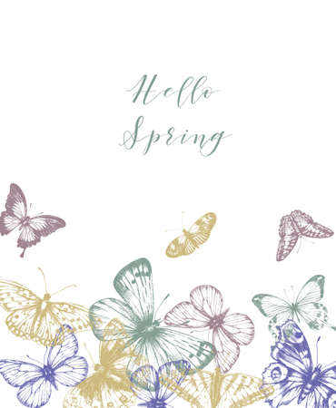 Flyer design with image of butterflies in retro style. Butterfly vector illustrationのイラスト素材