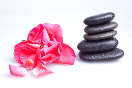 Massage stone with rose on a white backgroundの写真素材
