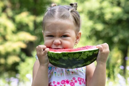 Happy little girl eating water melon in the summer parkの写真素材