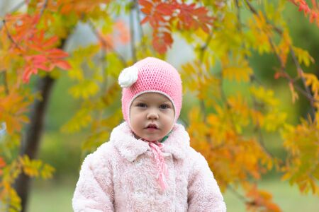Little girl in the autumn parkの写真素材