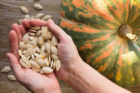Top view of raw seeds pumpkin in woman hands near pumkinの写真素材