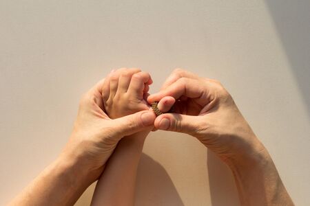 Top view of woman hands putting on massage ring Su-Jock on child finger on white backgroundの写真素材