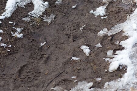 Dirt and melted snow outdoor in spring time in thawの写真素材