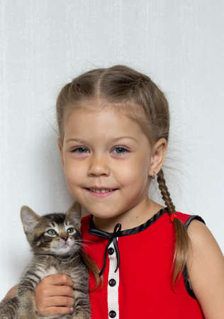 Portrait of cute caucasian girl of five years old holding kitten looking at camera on the white backgroundの写真素材