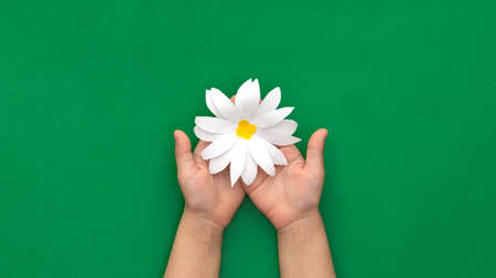 Flat lay child hands holding camomile papercraft made by kid on green backgroundの写真素材
