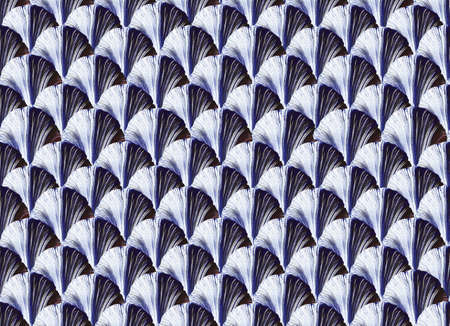 watercolor seamless pattern of semicircles in the technique of one strokeの写真素材