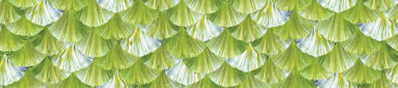 watercolor seamless pattern of semicircles in the technique of one strokeの写真素材