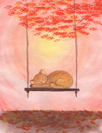 the domestic cat sleeps on the swing. The swing is suspended from a tree. Against the backdrop of red foliage and the setting sun.の写真素材