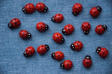 A group of wooden ladybugs.Seen from above.の写真素材