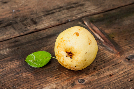 A single pearの写真素材