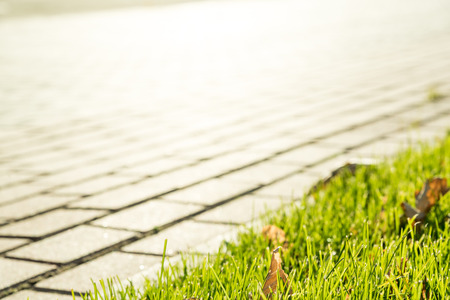 A background with green grass blades at the corner and pavement on another sideの写真素材