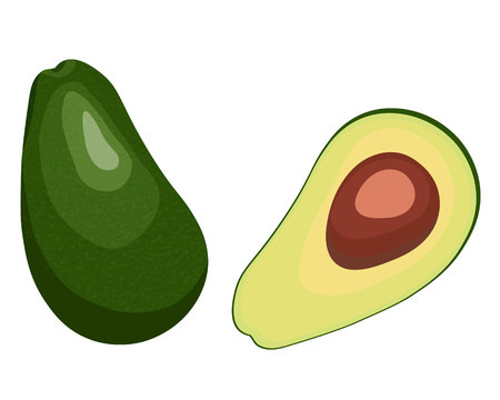 Ripe avocado fruit flat vector illustration, whole and half. white backgroundのイラスト素材