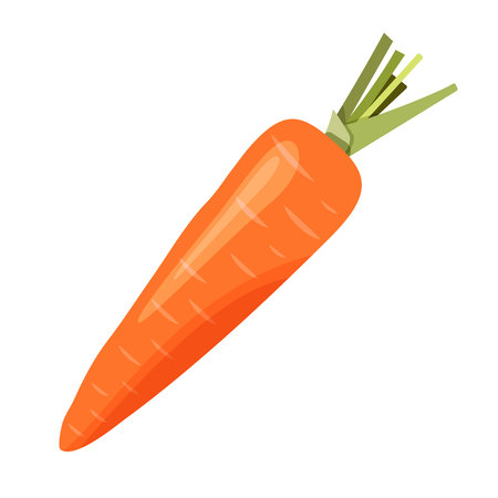 Raw fresh carrot with cut tops flat vector icon illustration. white backgroundのイラスト素材