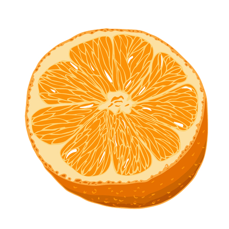 isolated on white background. juicy fresh fruit vector illustrationのイラスト素材