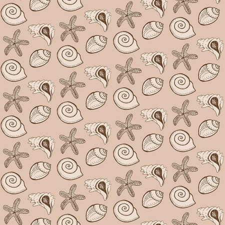 sea shells and starfishes on sandy backgroundのイラスト素材