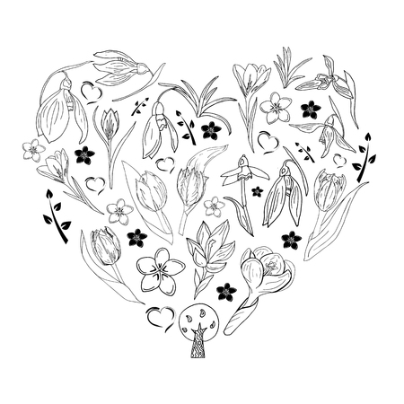 romantic floral spring flowers collection. Hand drawn doodle zen art pattern. tulips, crocus, snowdrop, verdure vector illustrationのイラスト素材
