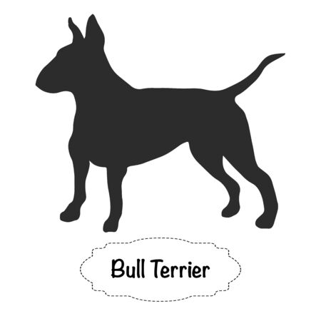 Vector isolated silhouette of dog bull terrier on white background.のイラスト素材