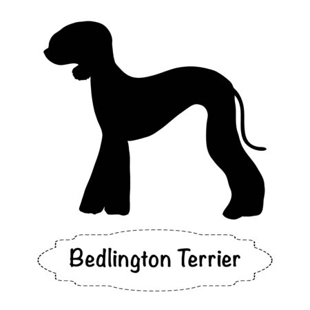 Vector isolated silhouette of bedlington terrier dog on white background.のイラスト素材