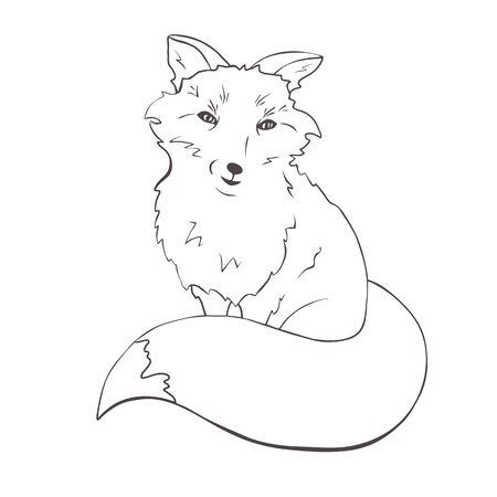 a cute quirky sitting fox. sly fox sits and looks around wrapping her legs in a luxurious tail Vector illustration hand drawn monochrome picture.のイラスト素材