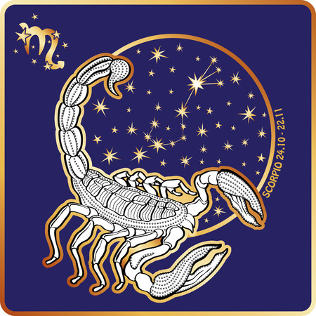 Horoscope.Scorpio zodiac signのイラスト素材