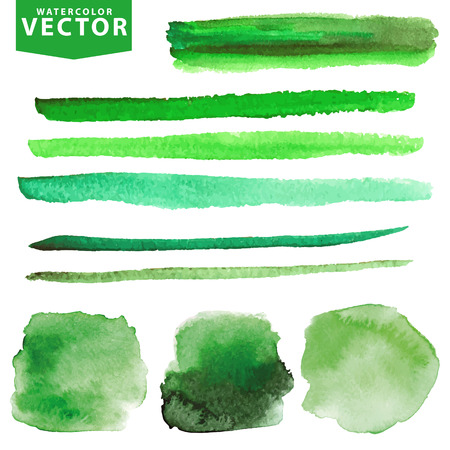 Watercolor stains,brushes set.Greenのイラスト素材
