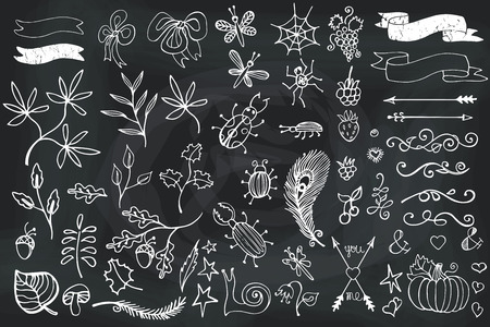 Doodles branches,arrows,ribbons,insects,borders decor set.Hand scetched elements for design templates,invitations and logo.Weddings,Valentines day,holidays,baby design and birthday.Vector chalcboardのイラスト素材