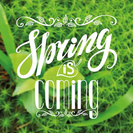 Spring design,Handwriting lettering,quotes.Vintage vector Spring is coming.Green nature blur background.Spring season,springtime wallpaper,text.Vector calligraphic.Web and  art.Retro Illustration.Squareのイラスト素材