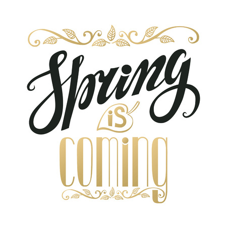 Spring design,Handwriting lettering,quotes.Vintage vector Spring is coming.Spring season,springtime wallpaper,text.Vector spring calligraphic.Vintage spring web.Spring art in black and gold.Retro Illustrationのイラスト素材