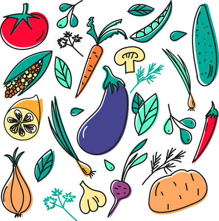 Vegetables doodle drawing collection. vegetable such as carrot, corn, mushroom, cucumber, potato, tomato etc. Hand drawn doodle illustrations in black isolated over white background.のイラスト素材