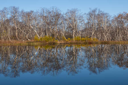 Autumn tints of nature,Park in autumn tints is reflected in silent pond,autumn,autumn winterの写真素材