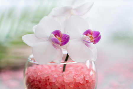Pink orchid in a vase with pink sea salt close-up. Spa and wellness conceptの写真素材