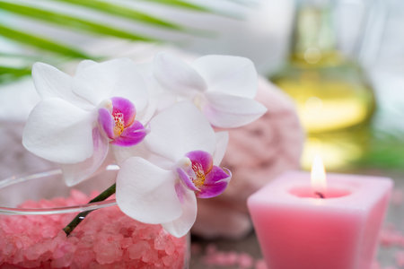 Starfish, seashells, terry towel, candle and plant on the sand. Spa and wellness conceptの写真素材