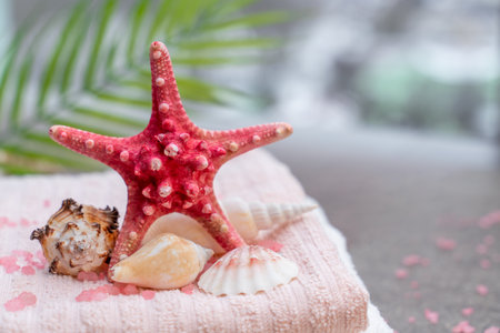 Starfish, seashells, terry towel and green plant on the sand. Spa and wellness conceptの写真素材