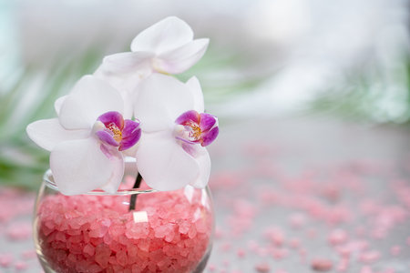 Pink orchid in a vase with pink sea salt close-up. Spa and wellness conceptの写真素材