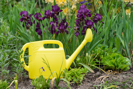 A yellow watering can with water stands against the background of flowering plants in the gardenの写真素材