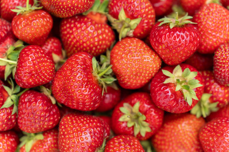 Bountiful Red Strawberry Closeup on Sunny Day. Top view. Fresh Fruit Background Conceptの写真素材