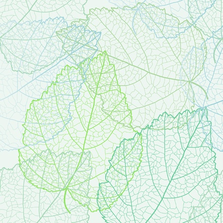Autumnal seamless for card のイラスト素材