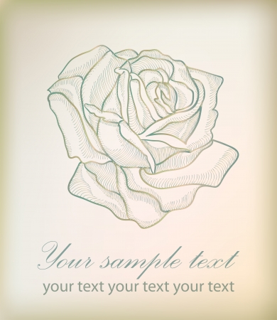 Hand drawing rose card isolated on vintage background  vector version eps 10  のイラスト素材