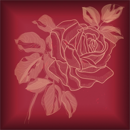 Hand drawing rose card  vector version eps 10   のイラスト素材