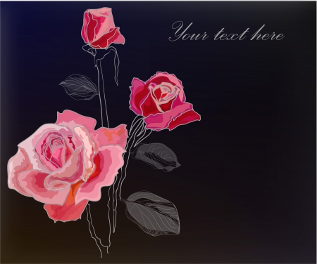 Hand drawing rose card isolated on grey backgroundのイラスト素材