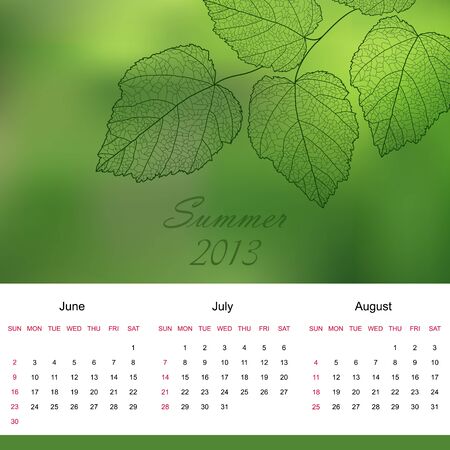 Summer season calendar page of new 2013 year のイラスト素材