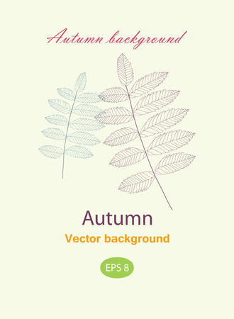 Autumnal greeting card with leaveのイラスト素材