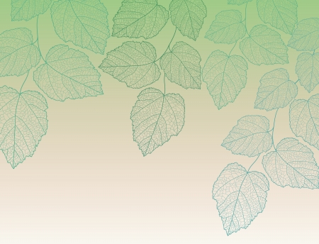 Nature background with leave  のイラスト素材
