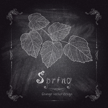 Hand drawing branch in frame on chalkboard background. Vector illustration in abstract styleのイラスト素材